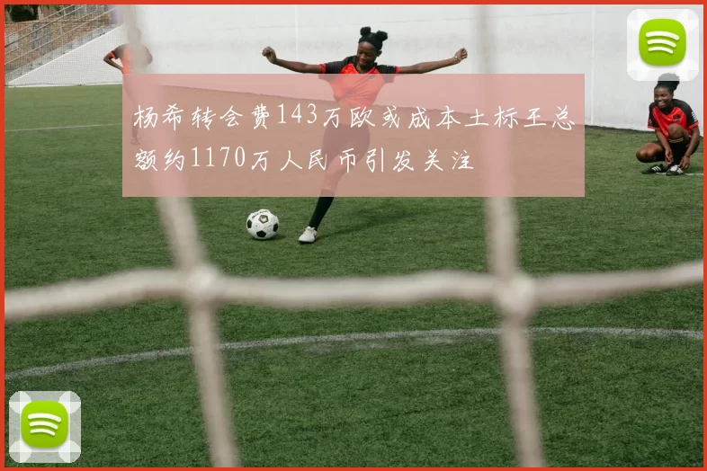 杨希转会费143万欧或成本土标王总额约1170万人民币引发关注