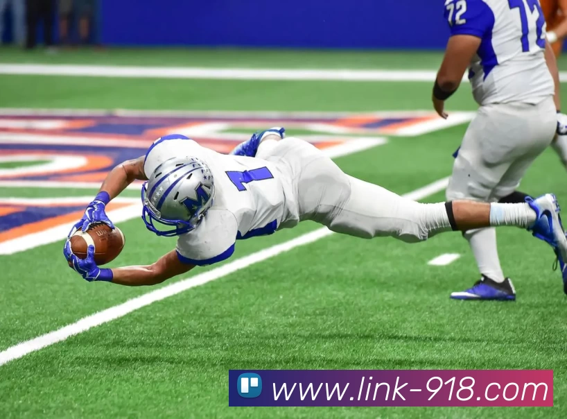 博天堂平台生态图