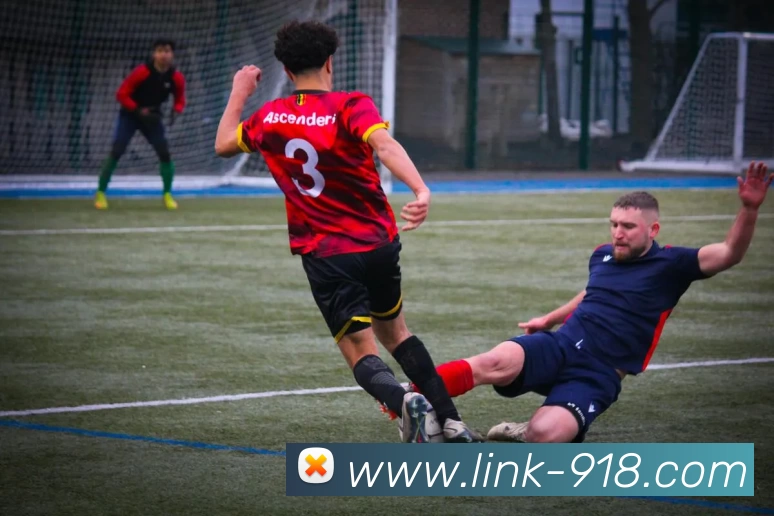 博天堂APP 封面图